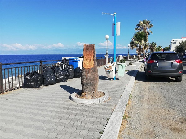 palma caduta lazzaro