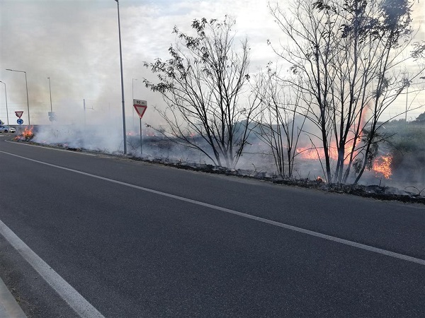 incendio lazzaro