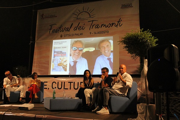 Festival dei Tramonti - palmi