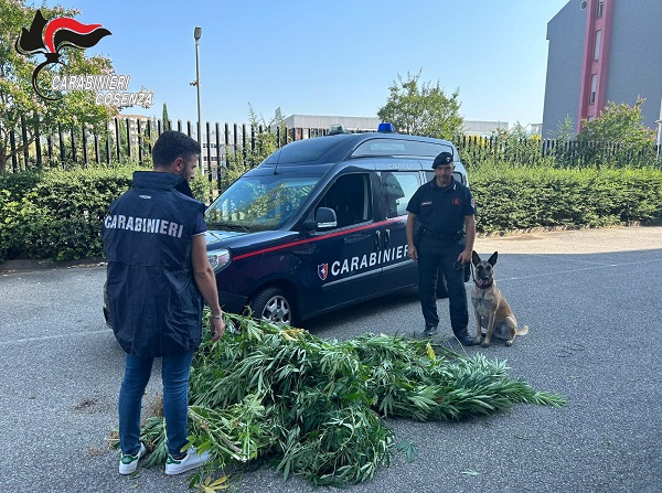 sequestro carabinieri rende