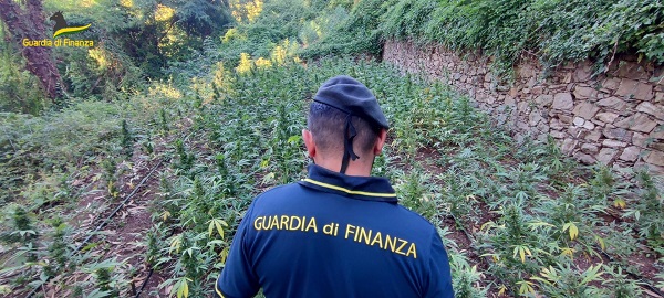 sequestro guardia di finanza - catanzaro