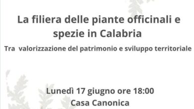 piante officinali e spezie in Calabria - workshop Fuscaldo