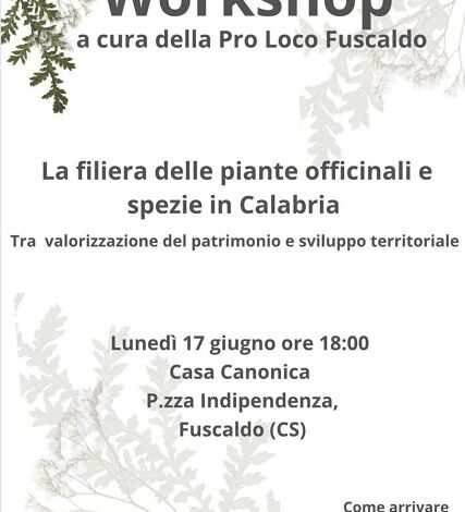 piante officinali e spezie in Calabria - workshop Fuscaldo