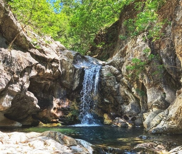 Riserva Naturale Regionale di Trinchise