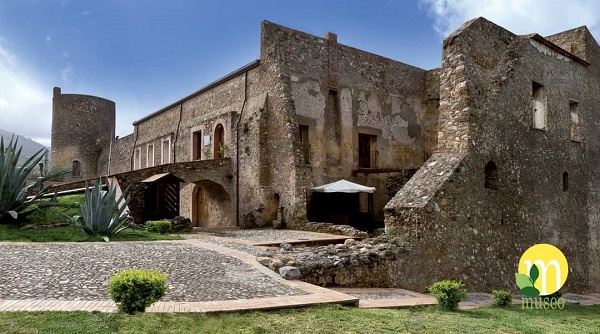 museo Santa Maria del Cedro