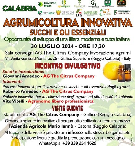 convegno Agrumicoltura innovativa - gallico