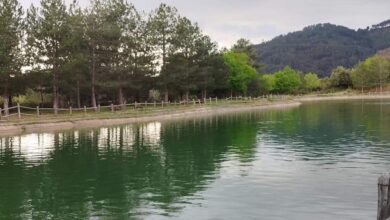 Riserva Naturale Regionale di Trinchise