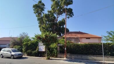 pericolo albero melito porto salvo