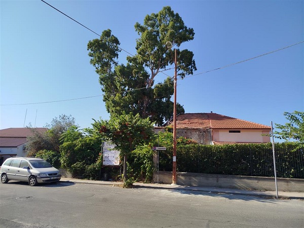 pericolo albero melito porto salvo