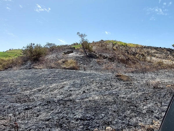 Incendio Briatico