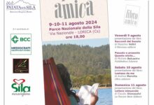 Lorica libro amica