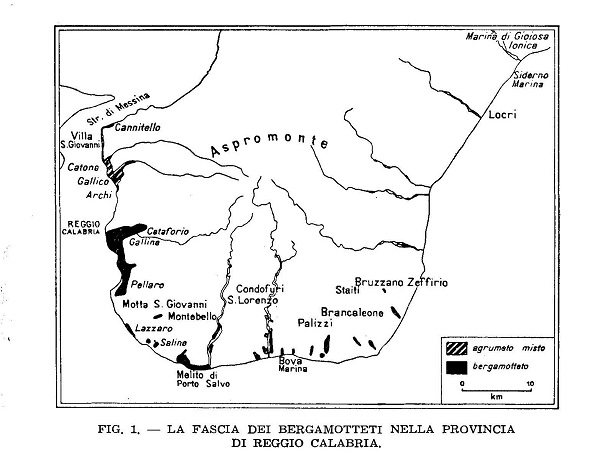 festa del bergamotto - cannavò