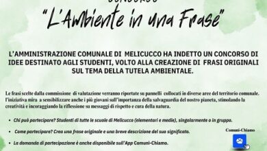 l'ambiente in una frase - melicucco