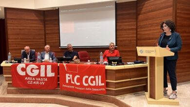 riunione Cgil lamezia terme - Gianna Fracassi