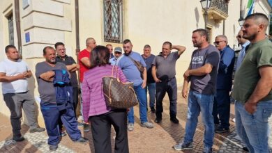 sit in allevatori - isola capo rizzuto