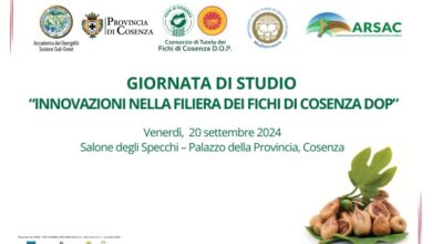 Fichi Festival - giornata studio Accademia dei Georgofili