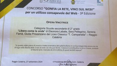 premio gonfia la rete vinci sul web - liceo campanella reggio