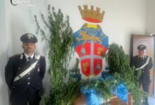 sequestro carabinieri - bonifati