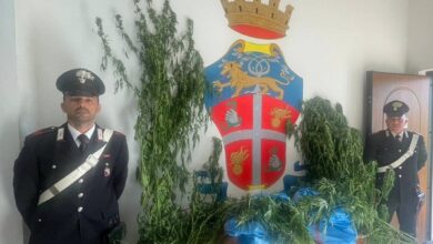 sequestro carabinieri - bonifati