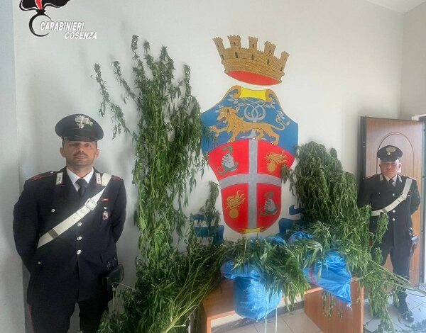 sequestro carabinieri - bonifati