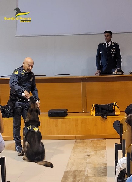 guardia di finanza - catanzaro