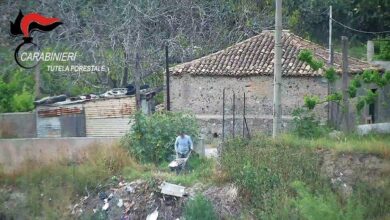 sversamenti torrente sant'agata reggio