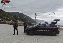 carabinieri bagnara calabra