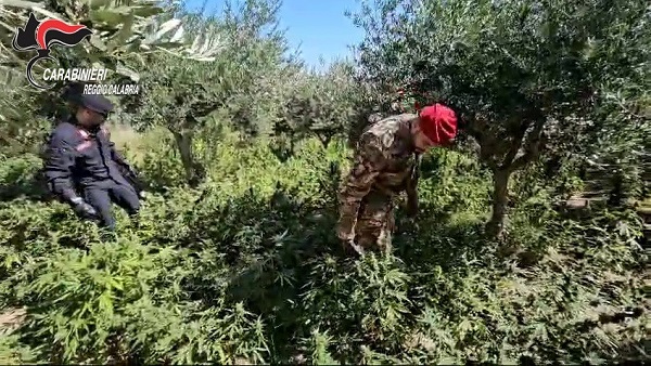 sequestro carabinieri benestare