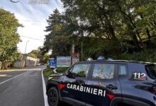 carabinieri parco nazionale aspromonte