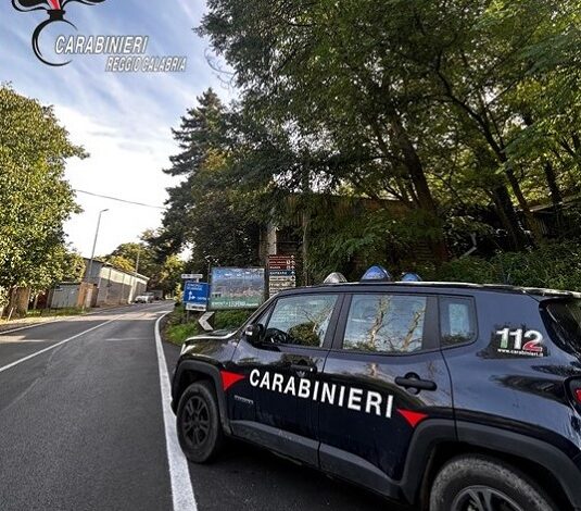 carabinieri parco nazionale aspromonte