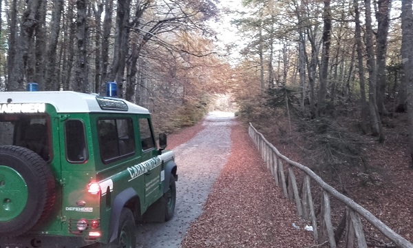 carabinieri forestali