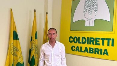 Vincenzo Abbruzzese Presidente Terranostra Calabria