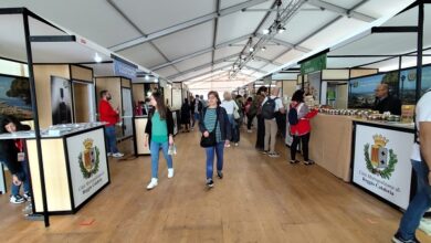 stand città metropolitana reggio - madre terra torino