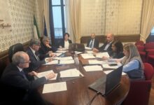 obiettivi strategici 2025 - camera di commerio vibo catanzaro crotone