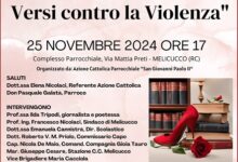 manifestazione contro violenza donne - melicucco