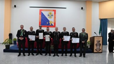 cerimonia benemerenza carabinieri calabria