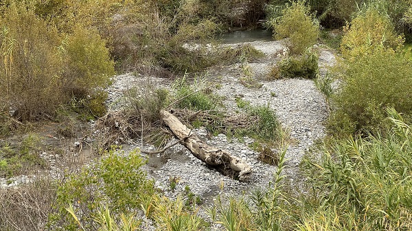 Fiume Abatemarco - Santa Maria del Cedro