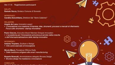 convegno startup innovative - soverato