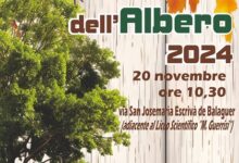 festa dell'Albero - cittanova