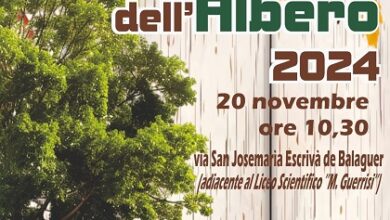 festa dell'Albero - cittanova