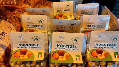 nocciola tonda bio - soverato