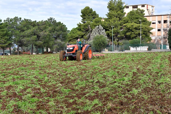 azienda agraria università mediterranea - falcomatà