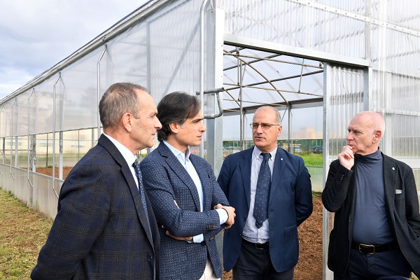 azienda agraria università mediterranea - falcomatà