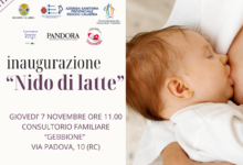 nido di latte - associazione pandora