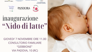 nido di latte - associazione pandora