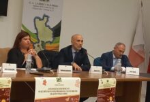 convegno gal serre calabresi - soverato