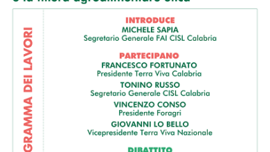 Consiglio Generale Fai Cisl Calabria - gizzeria lido