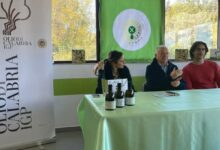 I Giorni dell'Olio - EVO Experience" a Crucoli