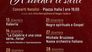 concerti a riveder le stelle - reggio