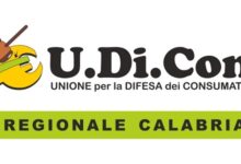 udicon calabria